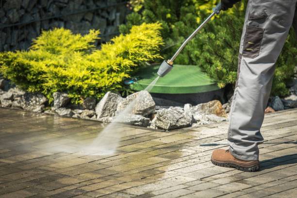 Best Spring Cleaning  in Shenorock, NY